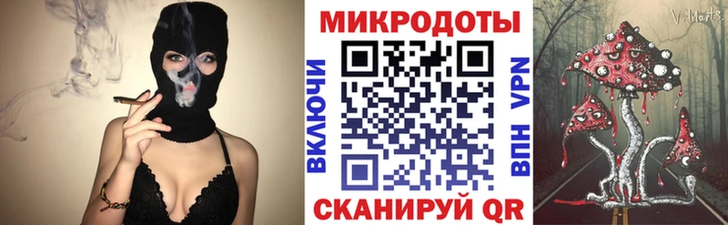Псилоцибиновые грибы мицелий  что такое   Разумное 